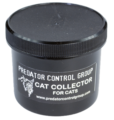 PCG Cat Collector