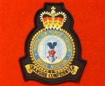 RAF Brize Norton Station Crest Badge ( Royal Air Force )