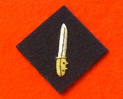 Combat Infantryman Badge Mess Dress Badge
