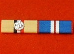 OP Telic Iraq & Rosette Golden Jubilee medal Ribbon Bar Pin