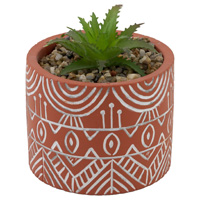 Terracotta Pot Succulent