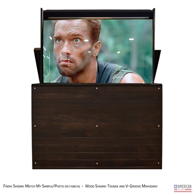 65" TV Lift Cabinet - Modern Ironside Outdoor (SC)