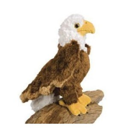 Colbert Eagle