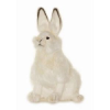 Hansa White Hare Rabbit